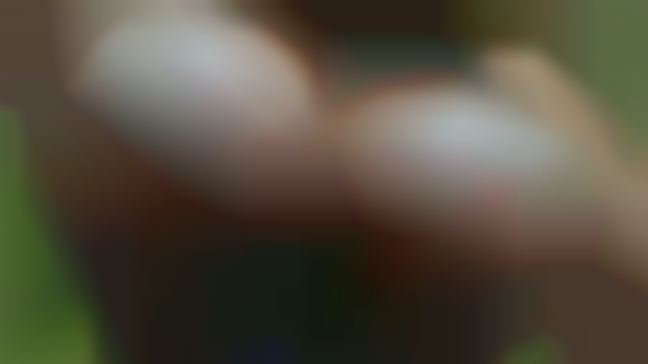 Huge bppbs fans sex bisexual female inhesperia.